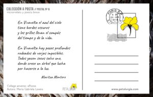 Diseño de María Gabriela Lovera para @petalurgia