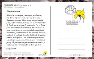 Diseño de María Gabriela Lovera para @petalurgia / Texto de Levy Farías